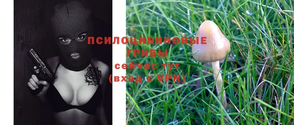 дмт Волоколамск